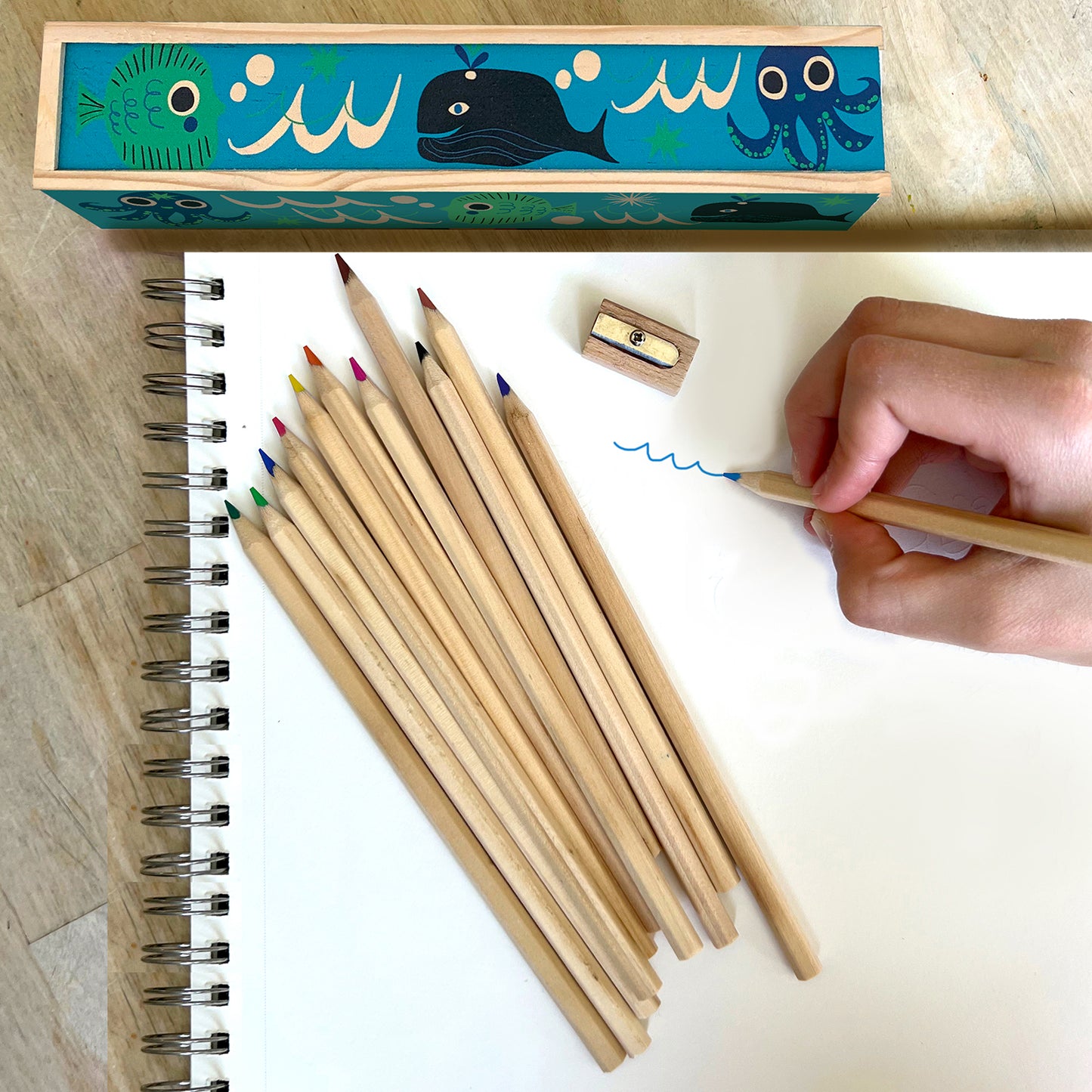 SQUARE SKETCHBOOK | ocean friends