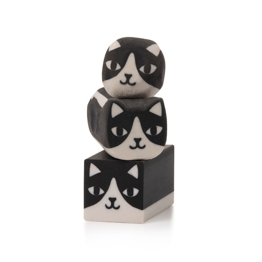 9 LIVES cat eraser